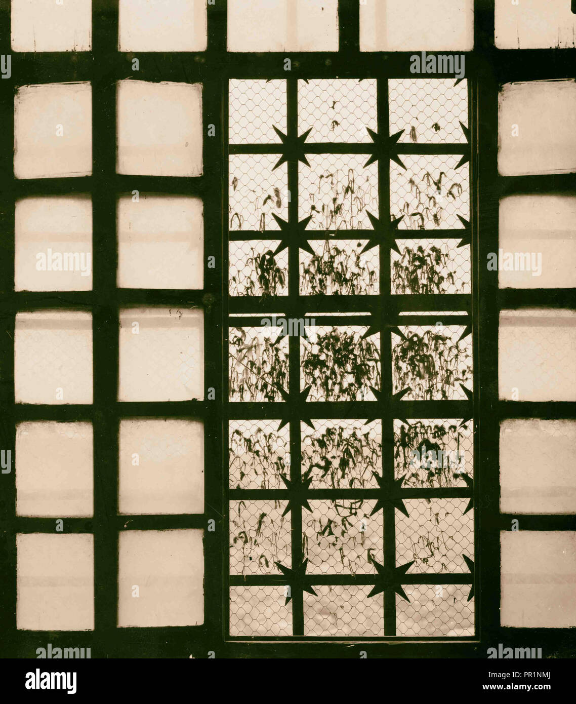 Bits de vestiduras como ofrendas votivas en la ventana de la mezquita de al-Aqsa roscas devocional. 1898, la Ciudad Vieja de Jerusalén Foto de stock