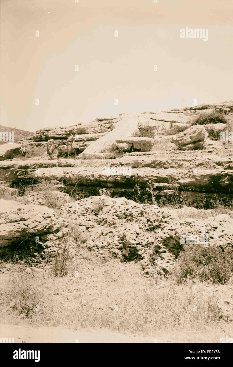 Flora & Fauna 1898, Oriente Medio, Israel y/o Palestina Foto de stock