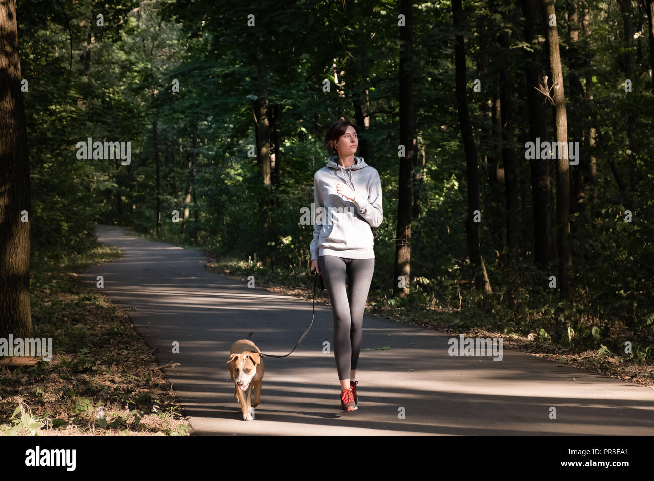 Mujer correr con el perro en el hermoso bosque. Las hembras jóvenes de persona con pet haciendo cross country excercise corriendo en el aire fresco. Foto de stock
