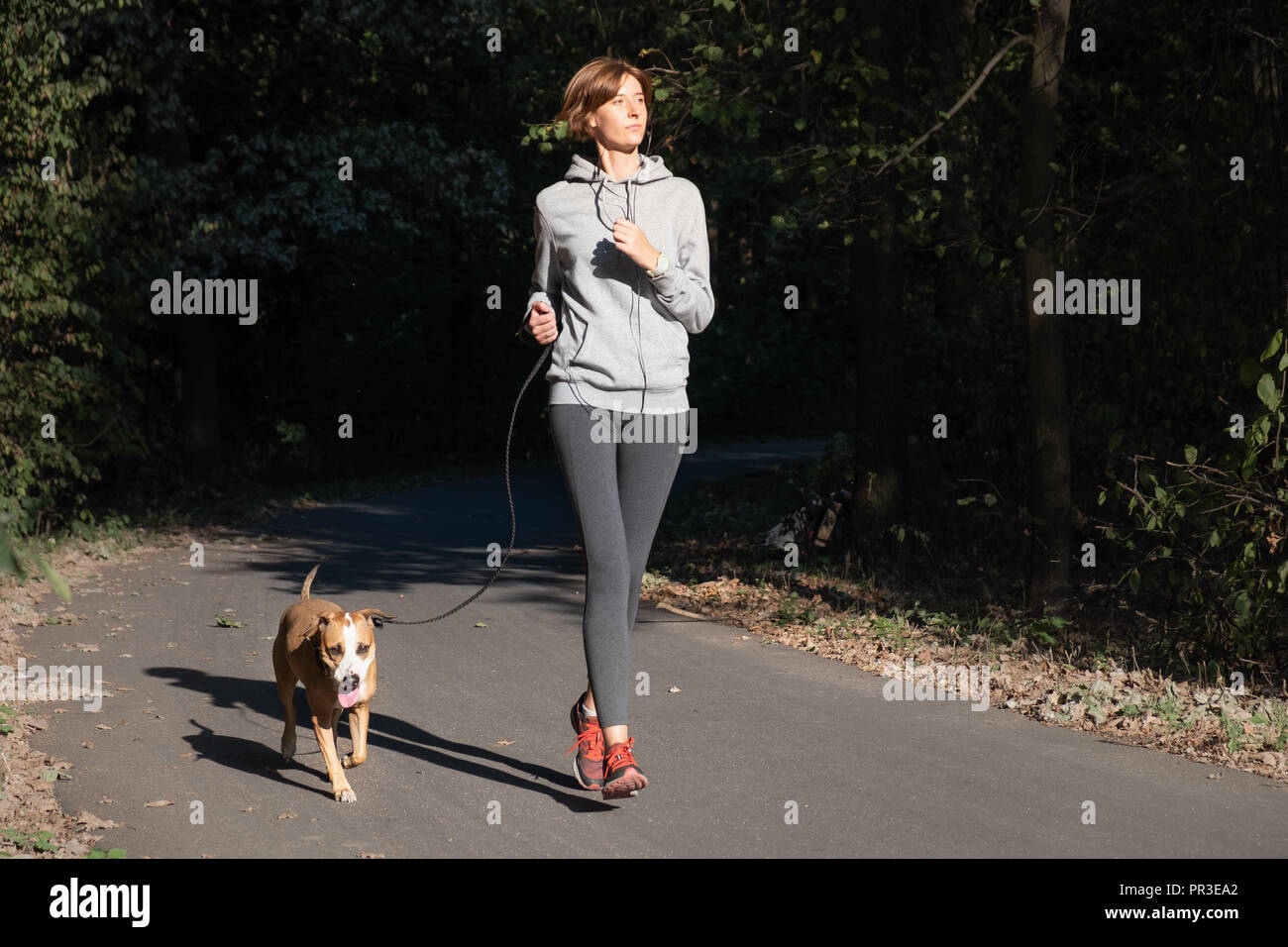 Mujer con perro de footing en un parque. Las hembras jóvenes de persona con pet haciendo ejercicio, corriendo en el bosque Foto de stock