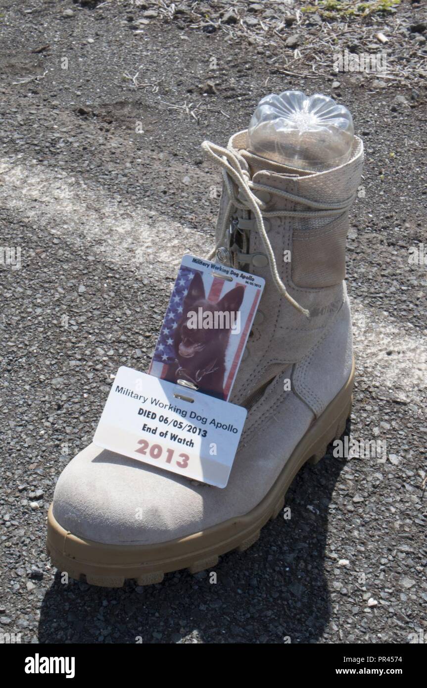 FORD ISLAND - una bota militar en conmemoración de Apollo, un perro de  trabajo militar, se ubica en la carretera a Ford Island, 6 de septiembre,  2018. Las botas, cada uno con