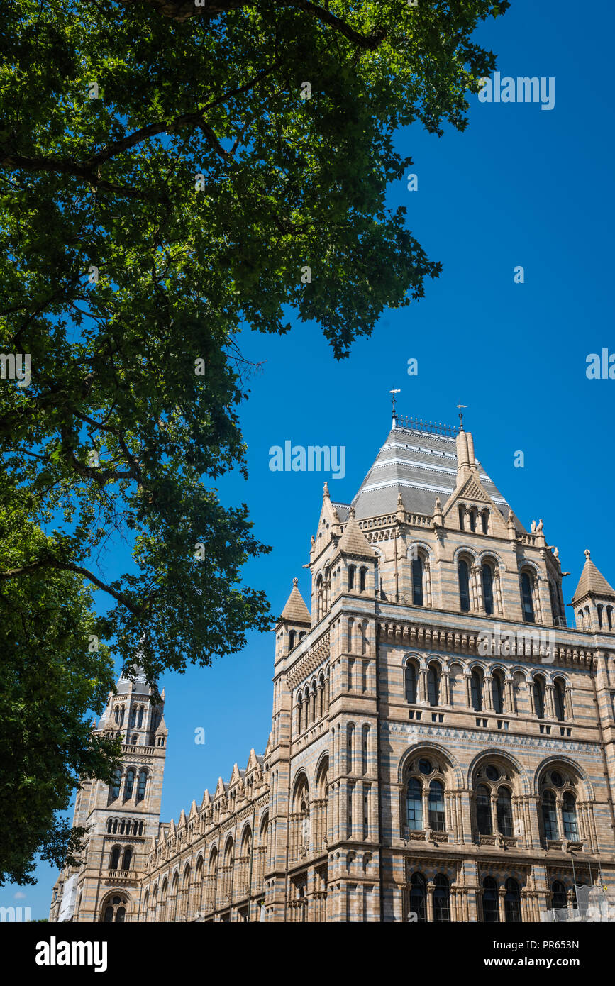 Impresionante edificio del Museo de Historia Natural de Londres, Inglaterra Foto de stock