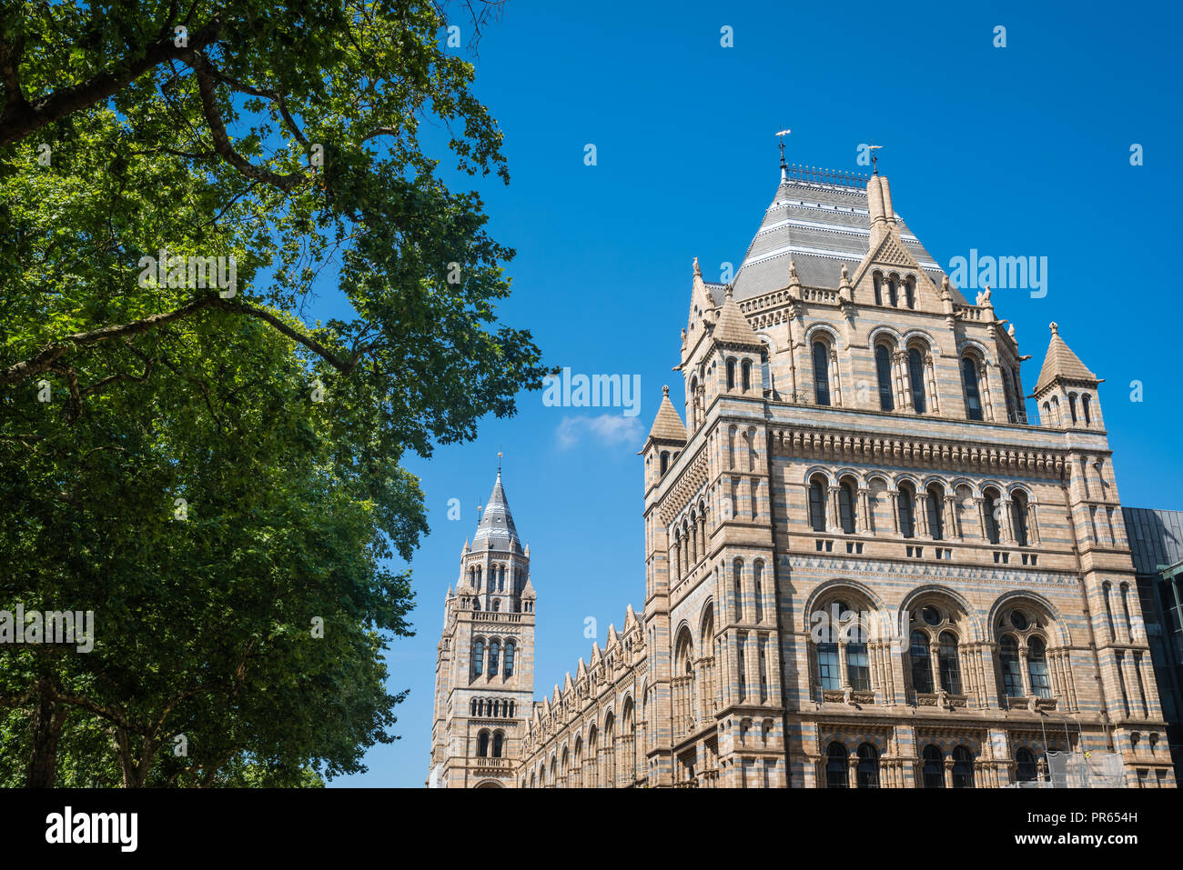 Impresionante edificio del Museo de Historia Natural de Londres, Inglaterra Foto de stock