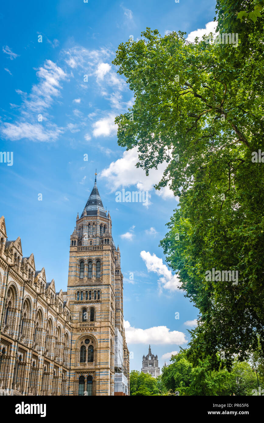 Altas Torres del impresionante edificio del Museo de Historia Natural de Londres, Inglaterra Foto de stock
