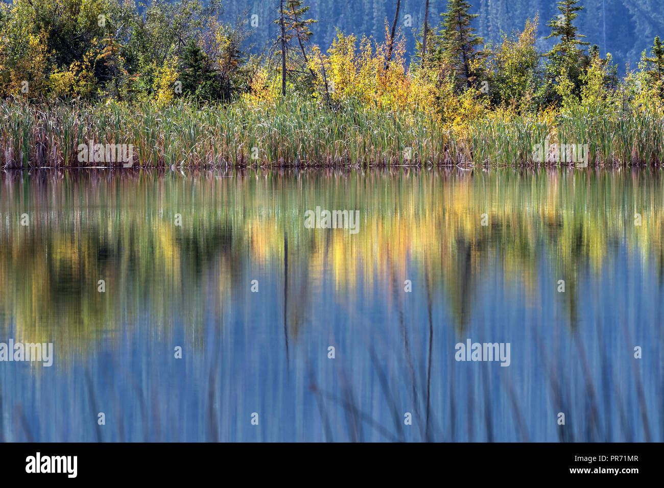 Talbot Lago. NP de Banff, Canadá Foto de stock
