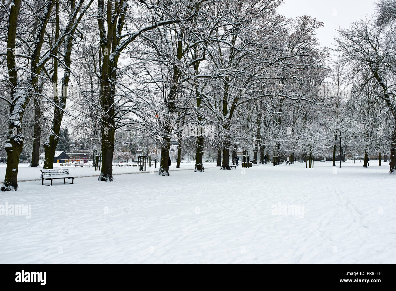 Escena de Invierno en Cambridge - piezas de Cristo. La nieve cubrió el césped y jardín, avenida de árboles y bancos. Foto de stock
