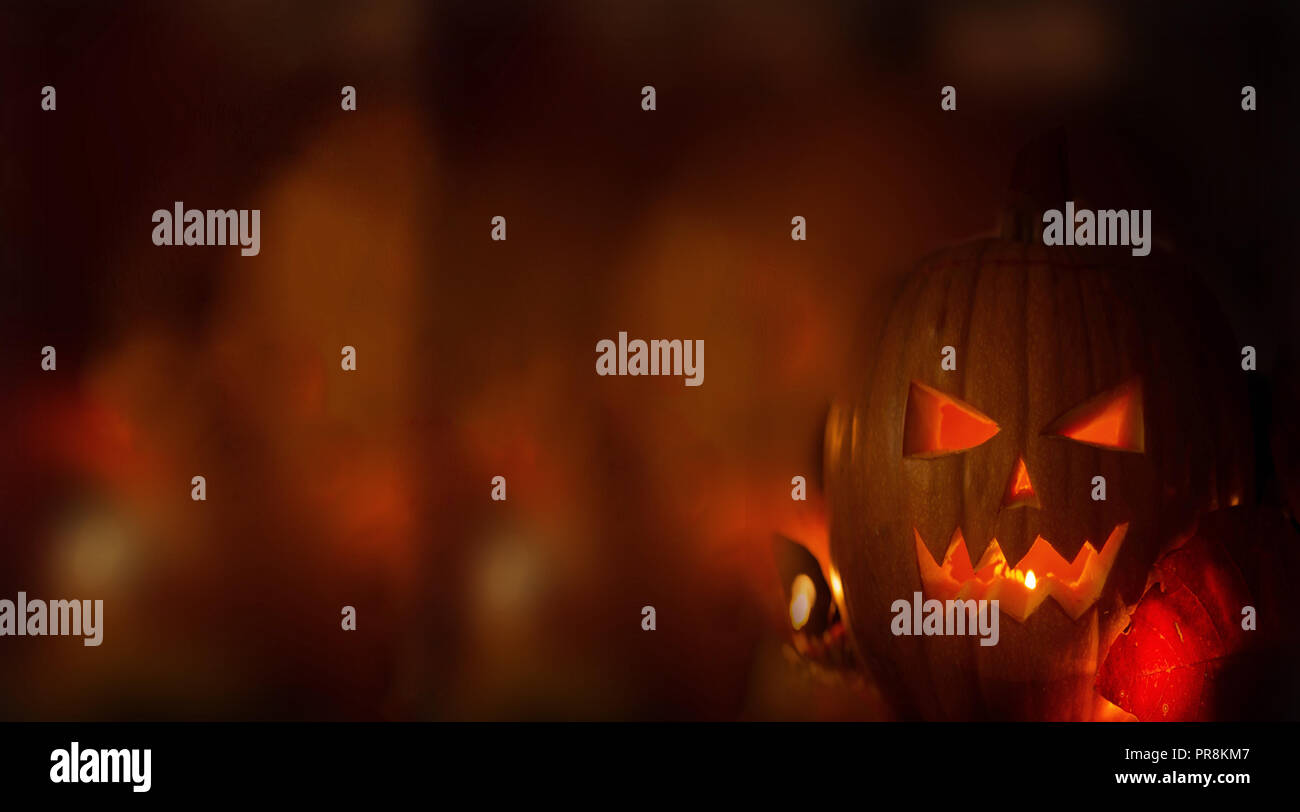 Halloween calabazas en madera en un tenebroso Bosque de miedo en la noche, con luz de fondo Foto de stock