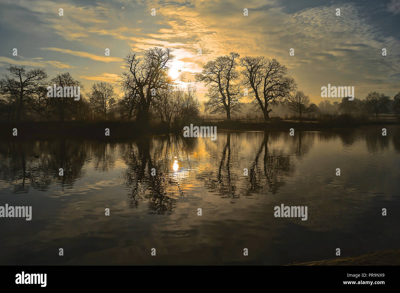 Sol de invierno sobre el lago Foto de stock