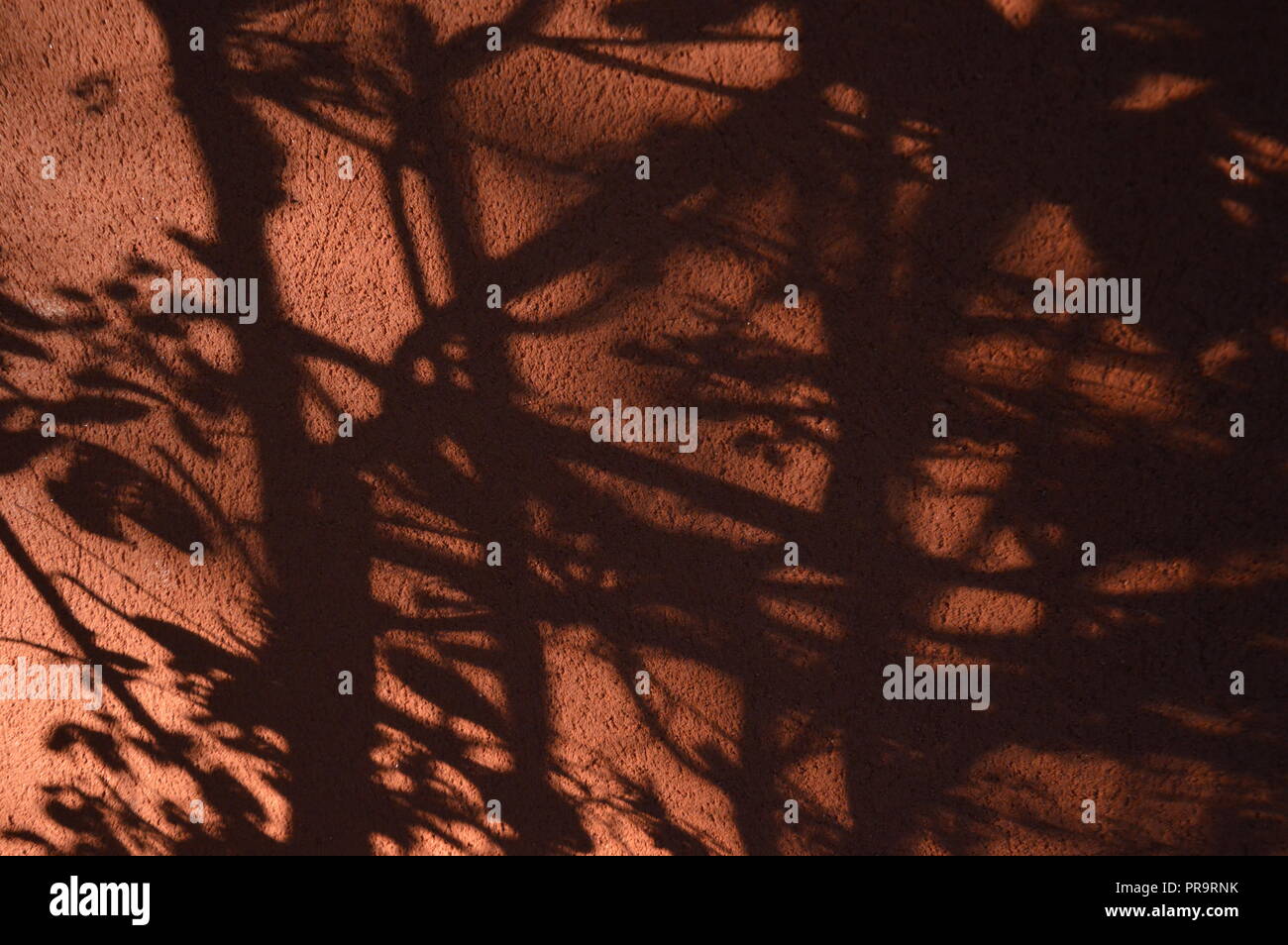 Sombras en la pared fotografías e imágenes de alta resolución Alamy