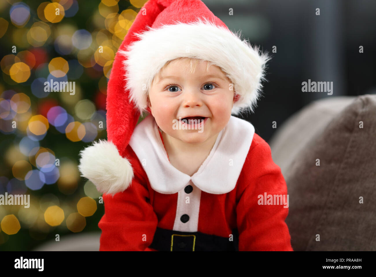 Adorable Bebé De 1 Año Disfrutando De La Navidad En Casa Fotos