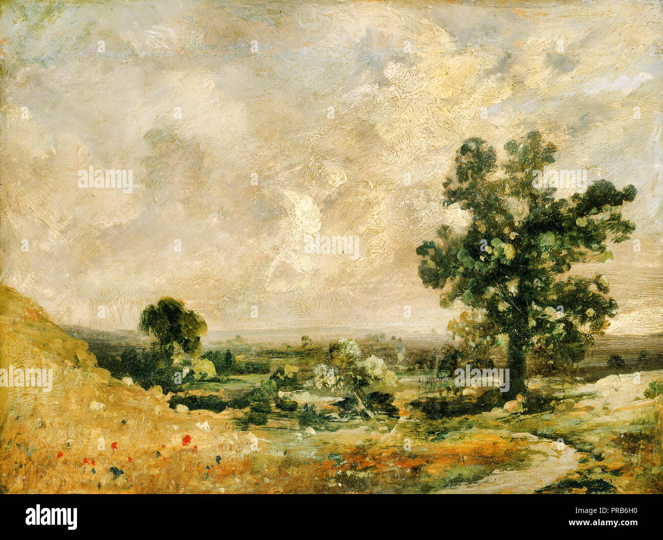 John Constable, paisaje inglés, fecha desconocida, Óleo sobre cartón establecido en panel de madera, Colección Phillips, Washington, D.C., Estados Unidos. Foto de stock