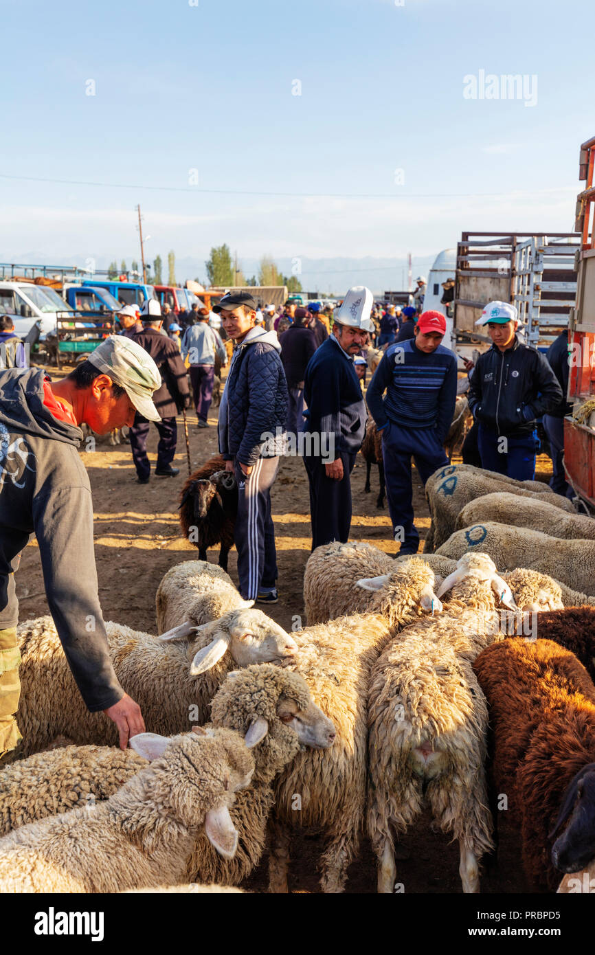 Asia Central, Kirguistán, Karakol, Domingo mercado de animales Foto de stock