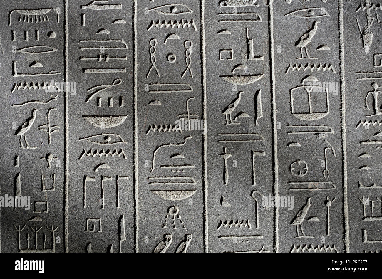 Jeroglíficos egipcios en el sarcófago de la "Esposa de Dios" Ankhnesneferiba. 'Periodo Tardío (664-332 a.C.) Museo Británico, Bloomsbury, Londres, Inglaterra, U Foto de stock