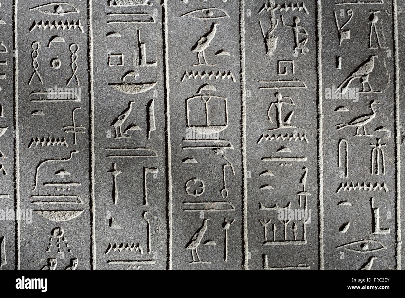 Jeroglíficos egipcios en el sarcófago de la "Esposa de Dios" Ankhnesneferiba. 'Periodo Tardío (664-332 a.C.) Museo Británico, Bloomsbury, Londres, Inglaterra, U Foto de stock