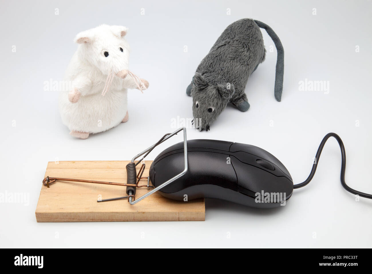 Atrapar ratones