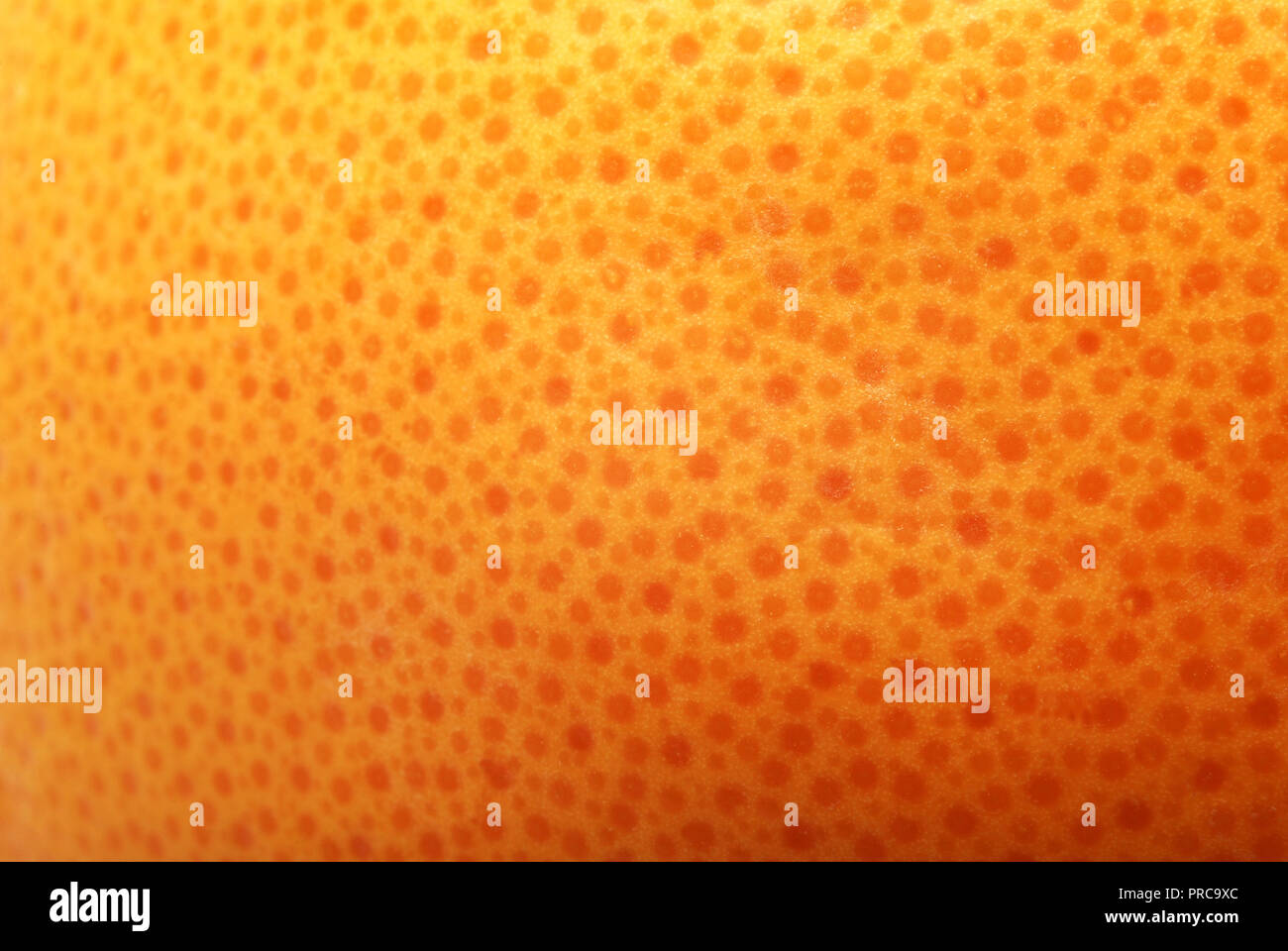 Textura de cáscara de naranja fotografías e imágenes de alta resolución -  Alamy