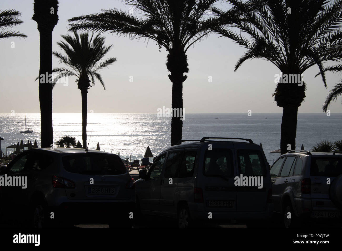 Foto de la puesta de sol detrás de las palmas. España Mallorca Foto de stock