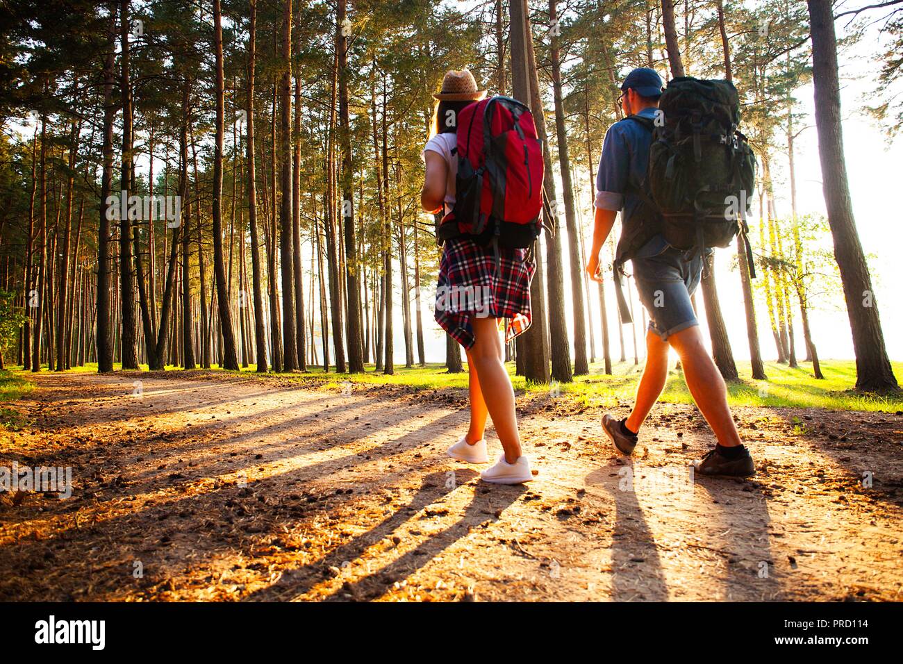 Ruta dura. Hermosa pareja joven senderismo juntos en el bosque mientras disfruta de su viaje. Foto de stock