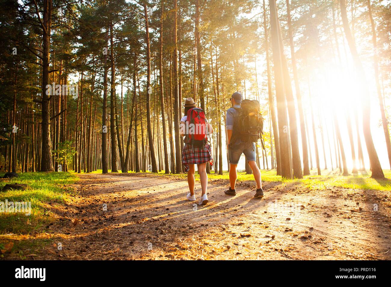 Ruta dura. Hermosa pareja joven senderismo juntos en el bosque mientras disfruta de su viaje. Foto de stock