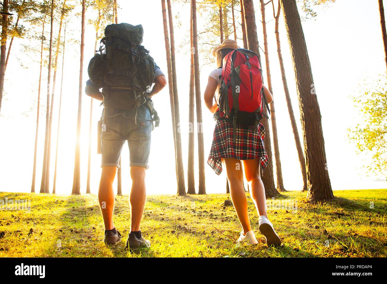 Ruta dura. Hermosa pareja joven senderismo juntos en el bosque mientras disfruta de su viaje. Foto de stock