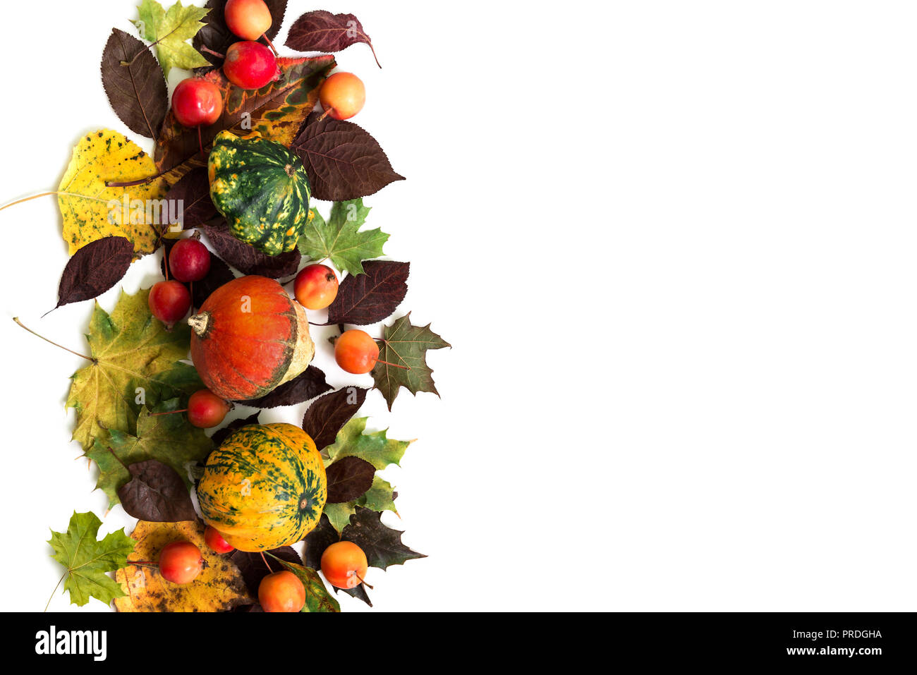 Las calabazas con hojas caer y manzanas del paraíso sobre fondo blanco. Vista desde arriba. Foto de stock