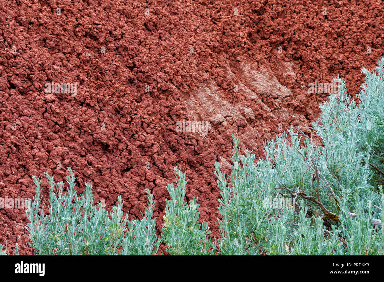 Rojo, piedra caliza tectured proporcionan un fondo de contraste a la artemisa en primer plano a la John Día yacimientos fósiles National Park en Oregon Foto de stock