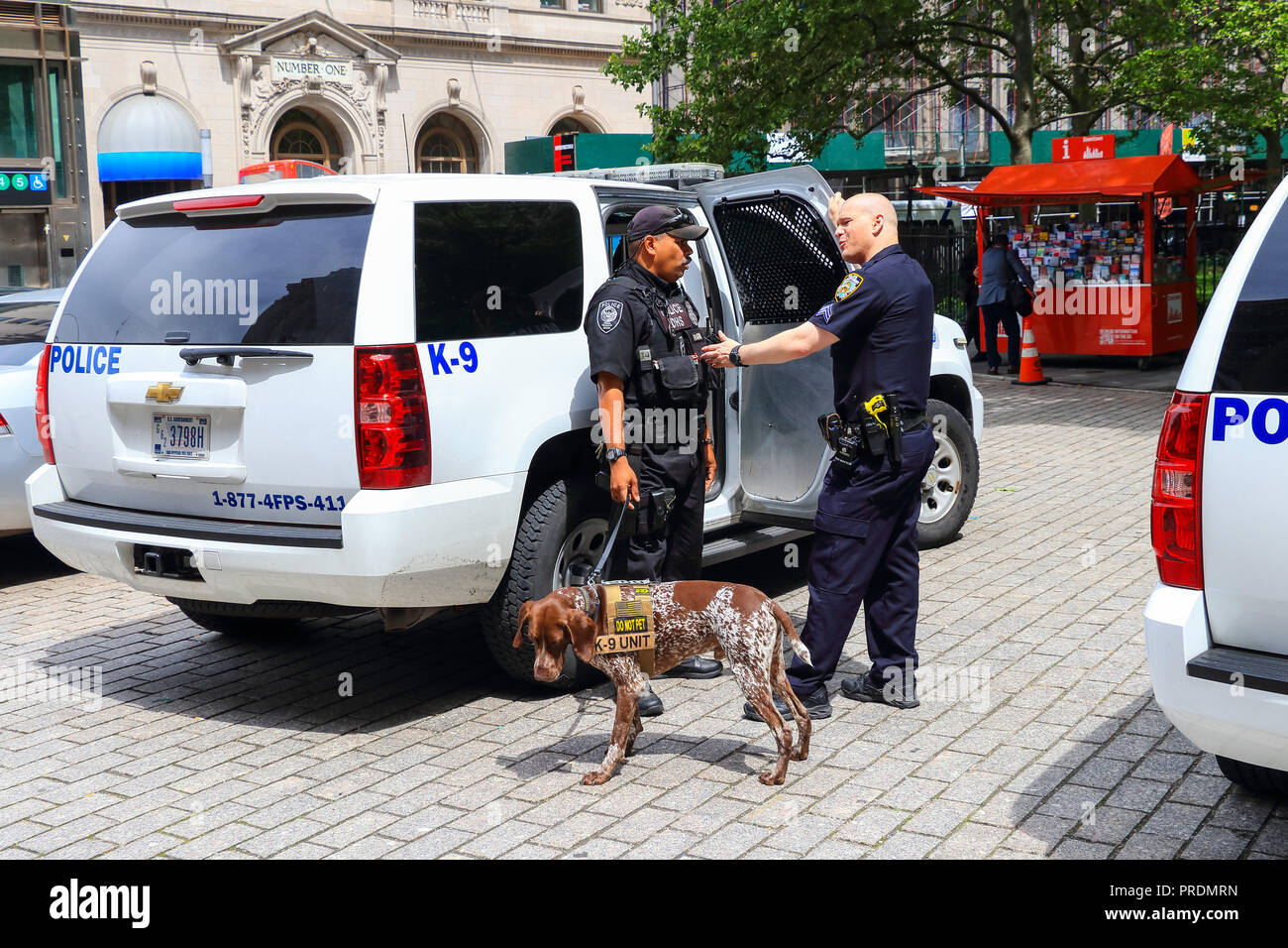 La Ciudad de Nueva York, Estados Unidos - 8 de junio de 2017: la policía de Nueva York K-9 unidad proporcionando seguridad en Manhattan Foto de stock