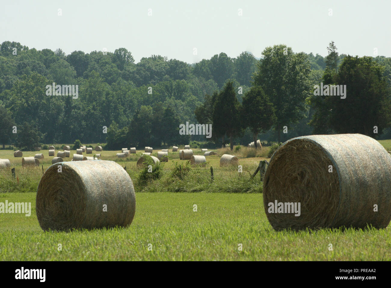 Los fardos de heno en el campo en la campiña de Virginia Foto de stock