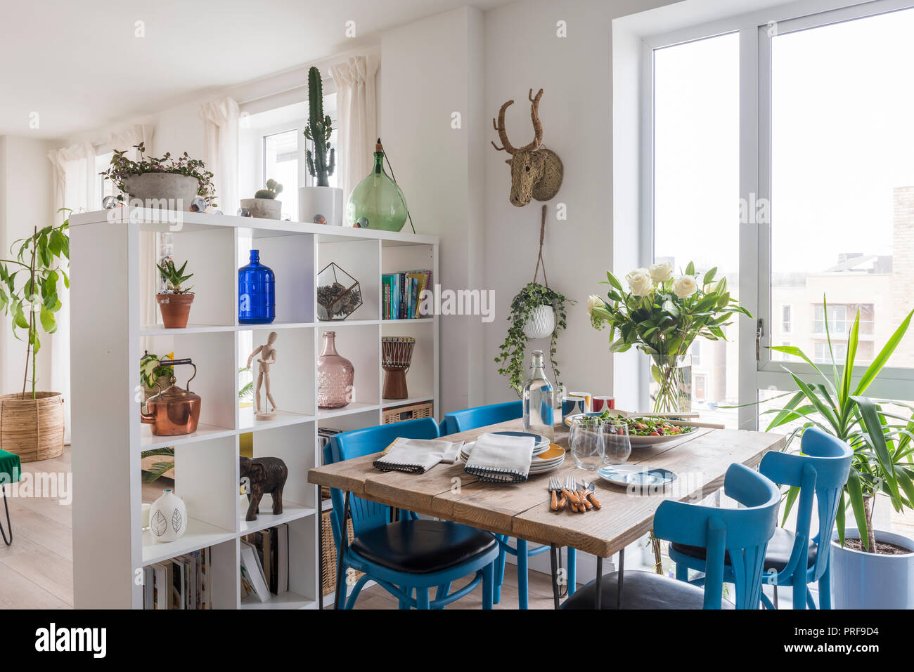 Sillas pintadas de azul en el andamio junta mesa de comedor con estantes como separador de habitación Foto de stock