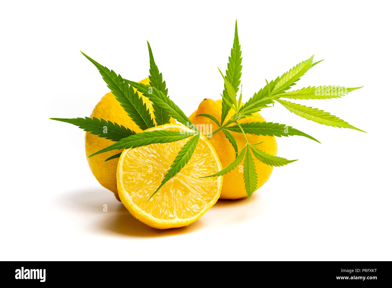 Hoja de marihuana y limón aislado en blanco Fotografía de stock Alamy