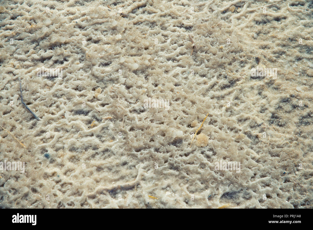 El Mar Muerto en Israel Foto de stock