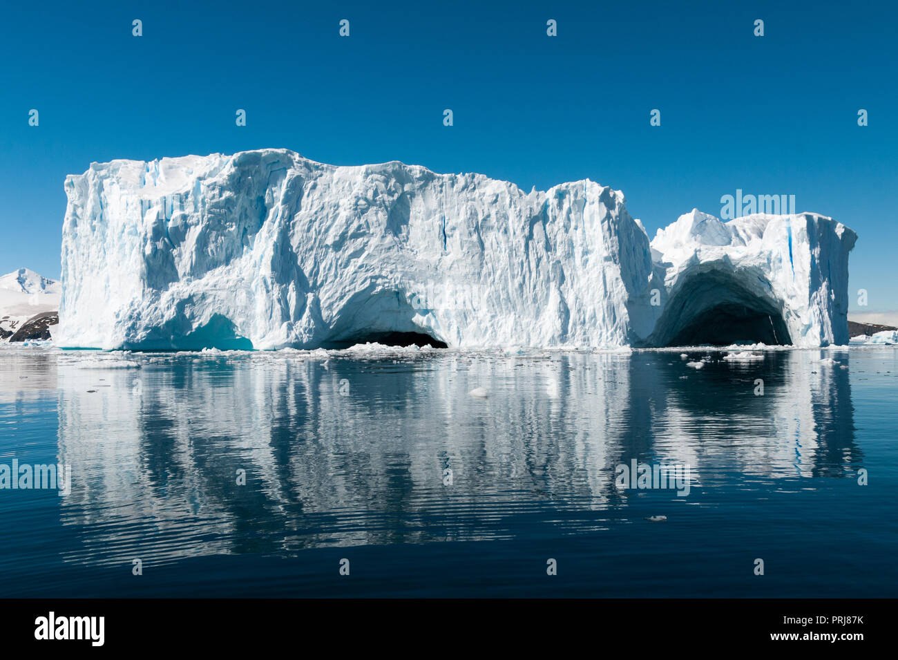 Gran iceberg erosionado con cuevas se refleja en el agua, vidriosas Cierva Cove, Península Antártica. Foto de stock