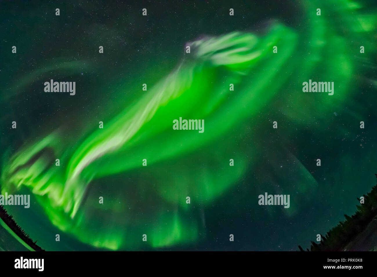 Una sola imagen de una secuencia del intervalo de tiempo, de las cortinas aurorales convergiendo hacia el cenit durante la visualización en septiembre 8/9, 2018, desde cerca y Foto de stock