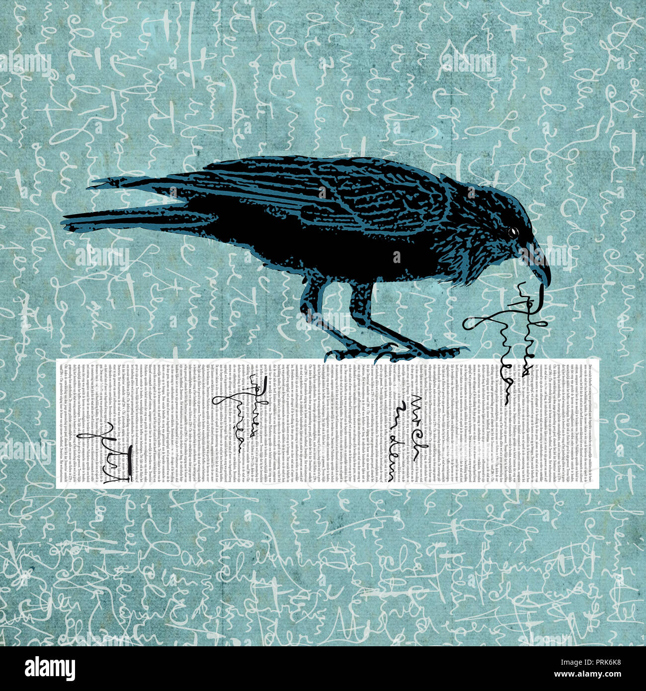 Raven roba texto de copia Foto de stock