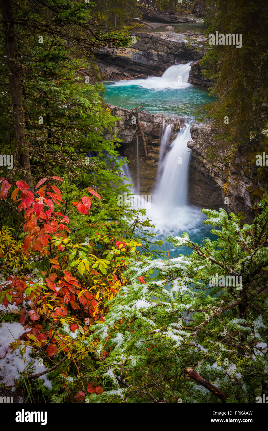 Johnston Creek es un afluente del Río Bow en las Montañas Rocosas de Canadá. El Creek está situado en el Parque Nacional Banff. Foto de stock