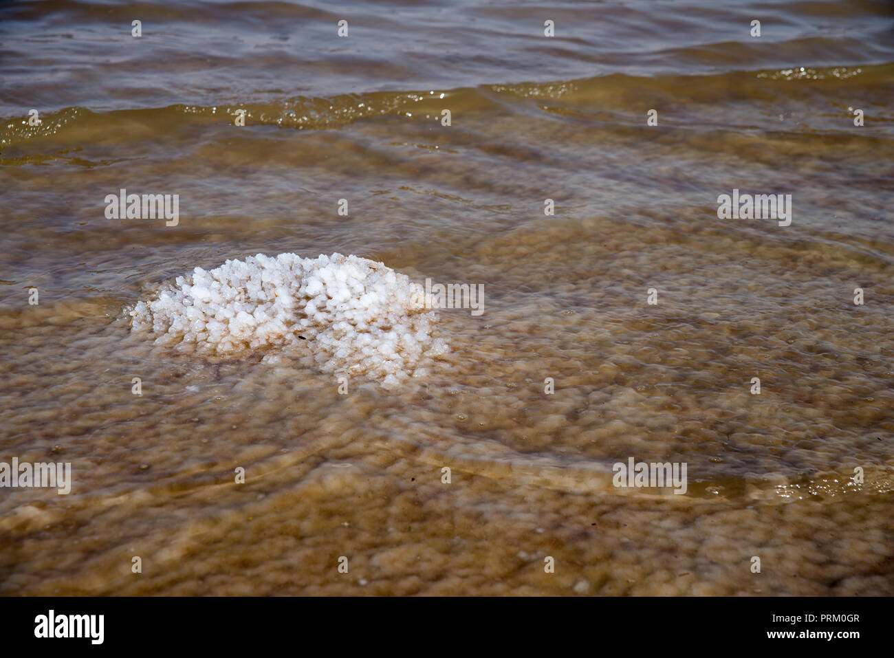 Vista del Mar Muerto Foto de stock