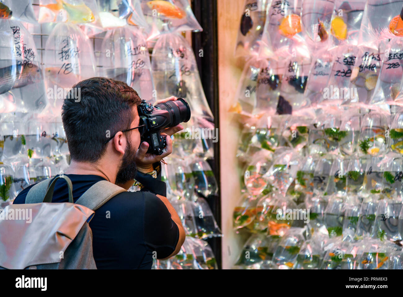 Tomar una foto del viajero en el mercado de peces de colores en Hong Kong Foto de stock