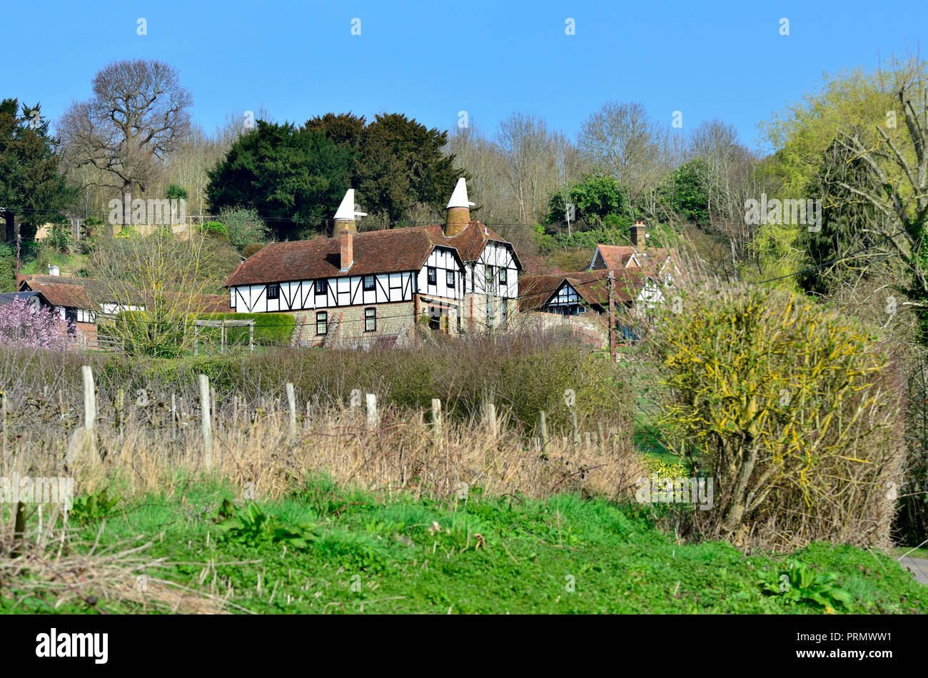 Convierte oast house, Boughton Monchelsea village, Kent, Inglaterra. Foto de stock