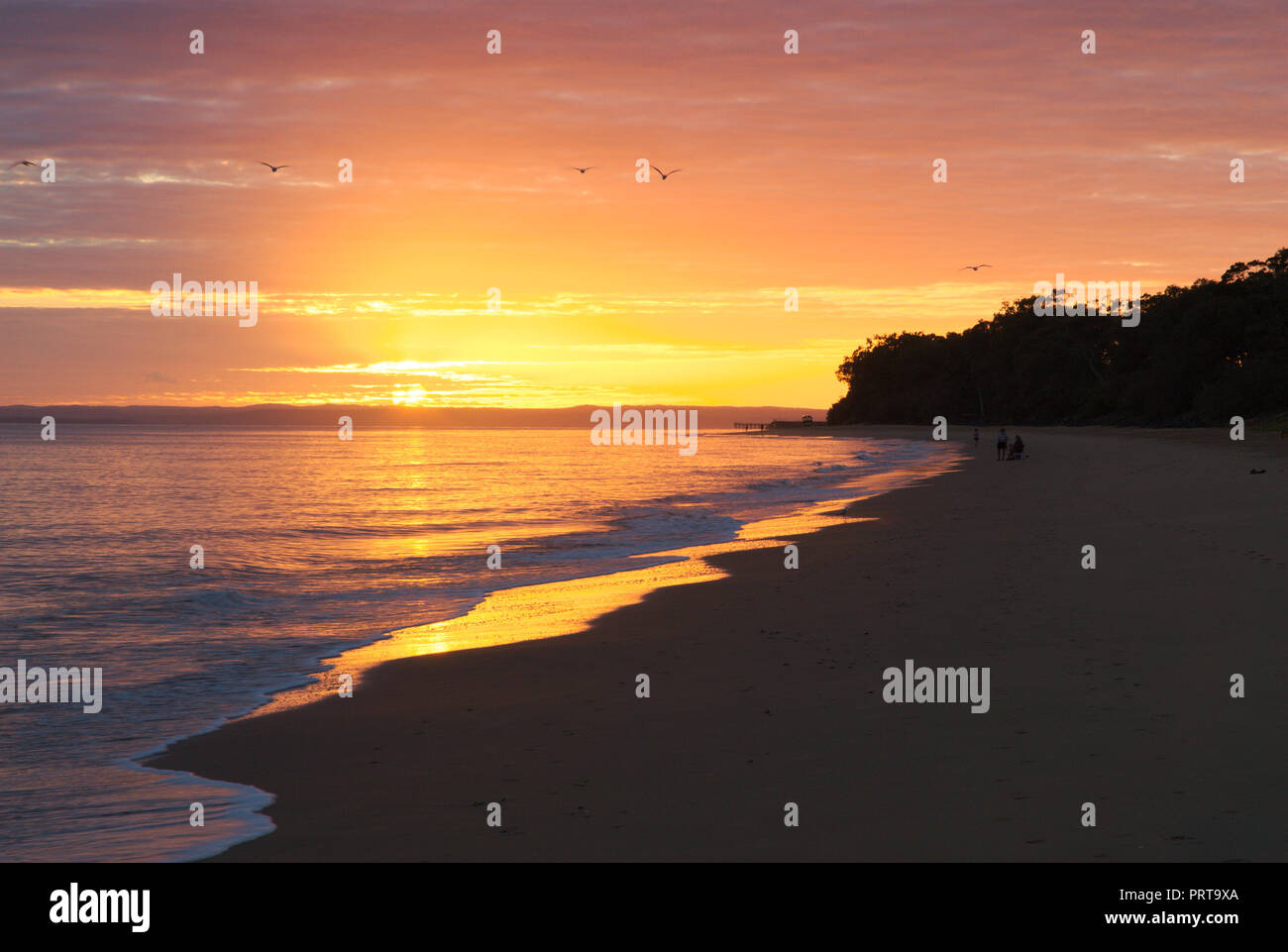 Puesta de sol sobre la playa en Hervey Bay, Queensland, Australia Foto de stock