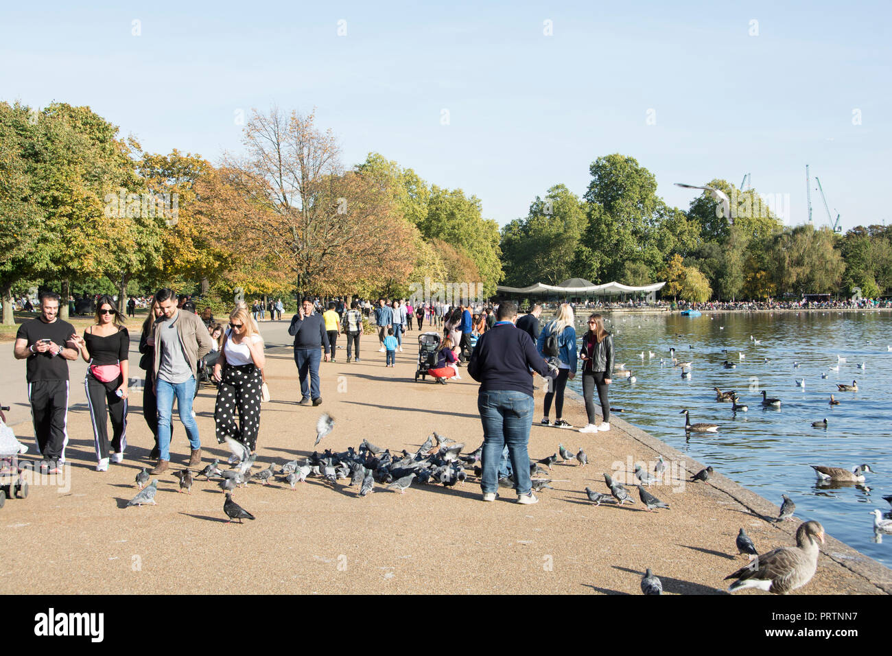 Gente alimentando a los patos y disfrutando del sol en las orillas del Serpentine en Hyde Park, Londres, Inglaterra, Reino Unido Foto de stock