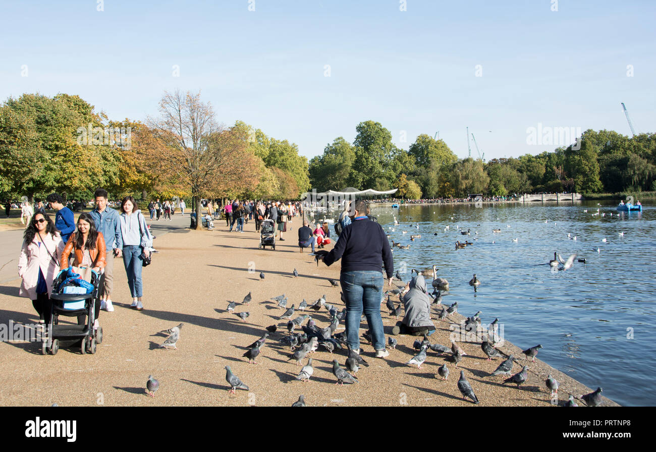 La gente alimentando a los patos y disfrutar del sol en las orillas de la Serpentine en Hyde Park, Londres, Reino Unido. Foto de stock
