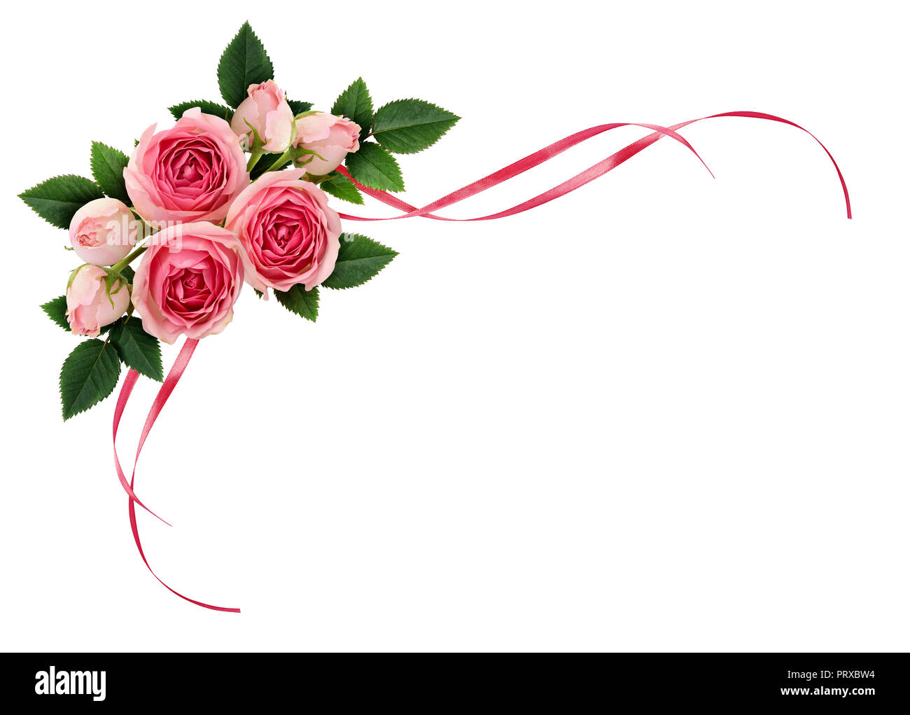 sonrojo desfile Aprobación Rosa rosa flores y cintas de satén ondulada en un arreglo de esquina  aislada sobre fondo blanco. Sentar planas. Vista desde arriba Fotografía de  stock - Alamy