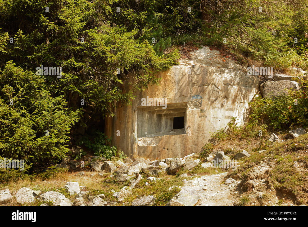 Bunker, sistema de defensa Plamort, Segunda Guerra Mundial, para proteger a Italia de la Alemania Nazi, cerca del biotopo Plamorter moss Foto de stock