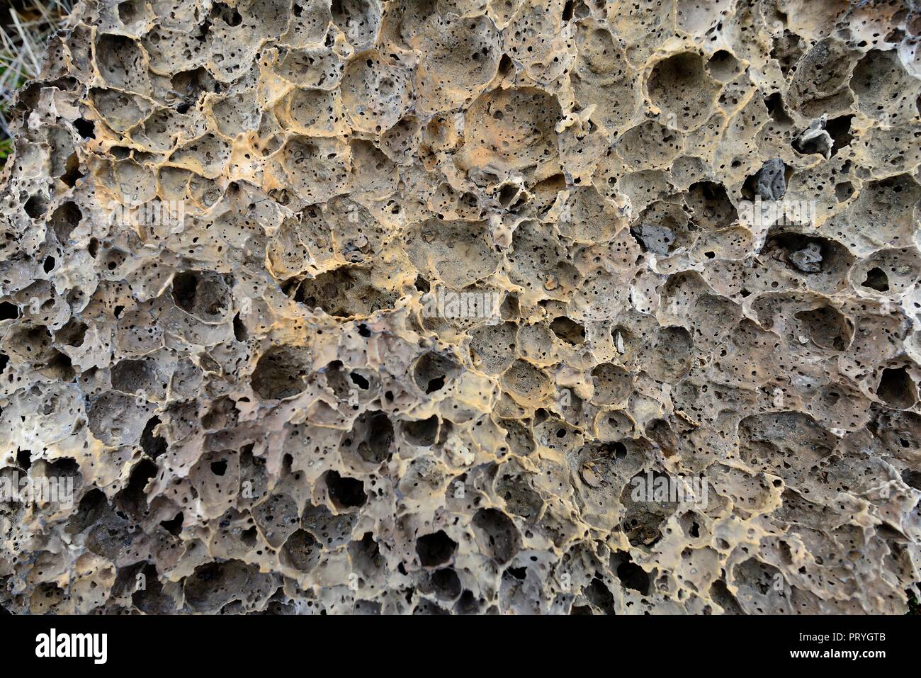 Soportó la piedra de lava, detalle, Parque Nacional Pali Aike, provincia de Magallanes, Chile Foto de stock
