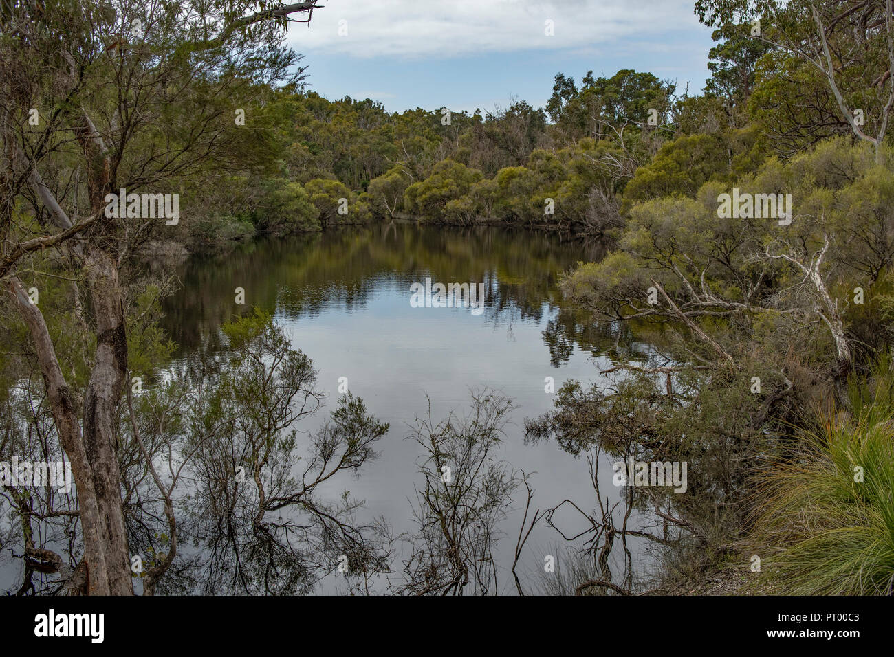 Lago en el Bosque Estatal de tono, WA, Australia Foto de stock