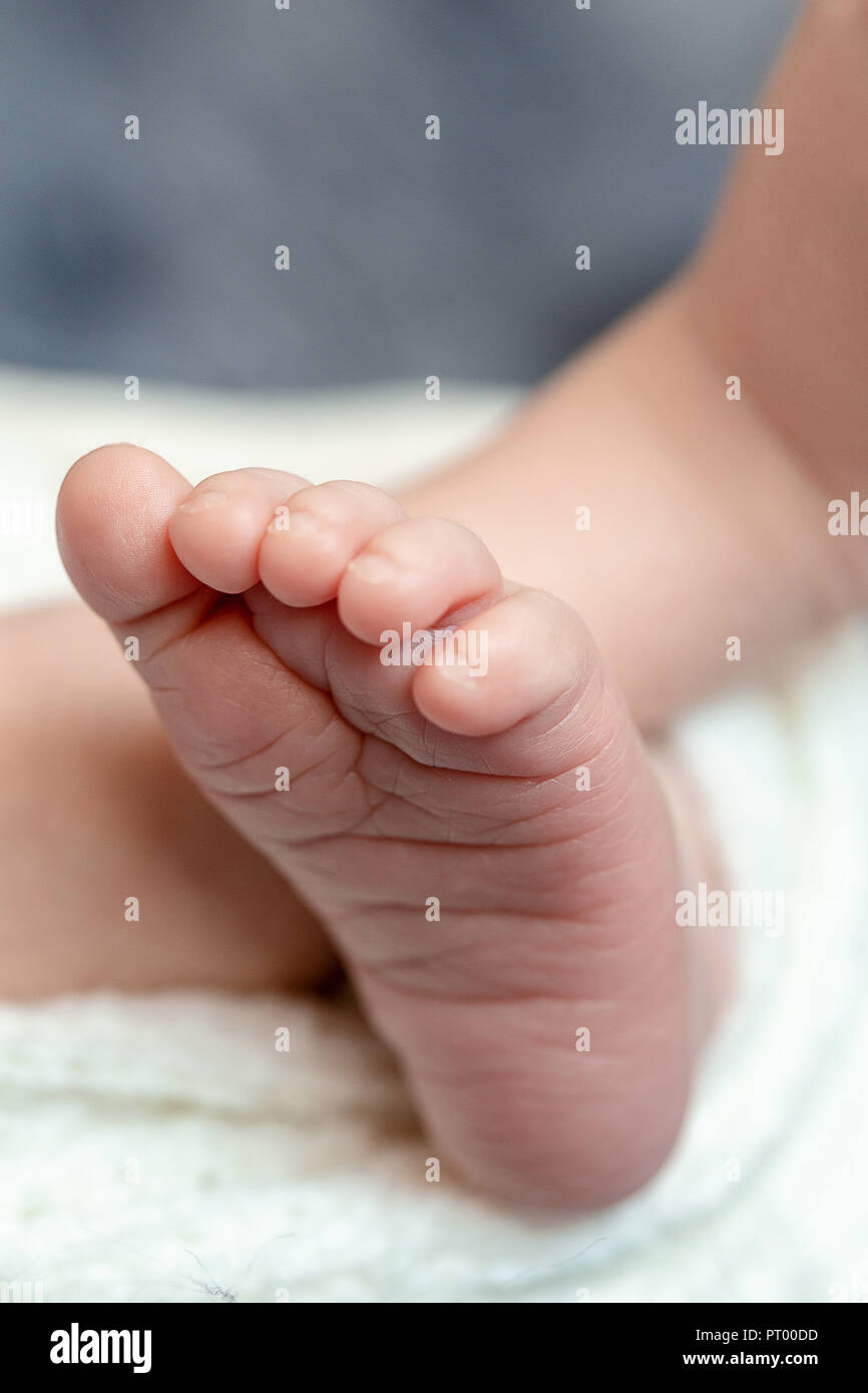 Close-up de bebé pequeño las piernas. El niño recién nacido dormía bajo una  cobija tejida blanca radica en el azul de la piel Fotografía de stock -  Alamy