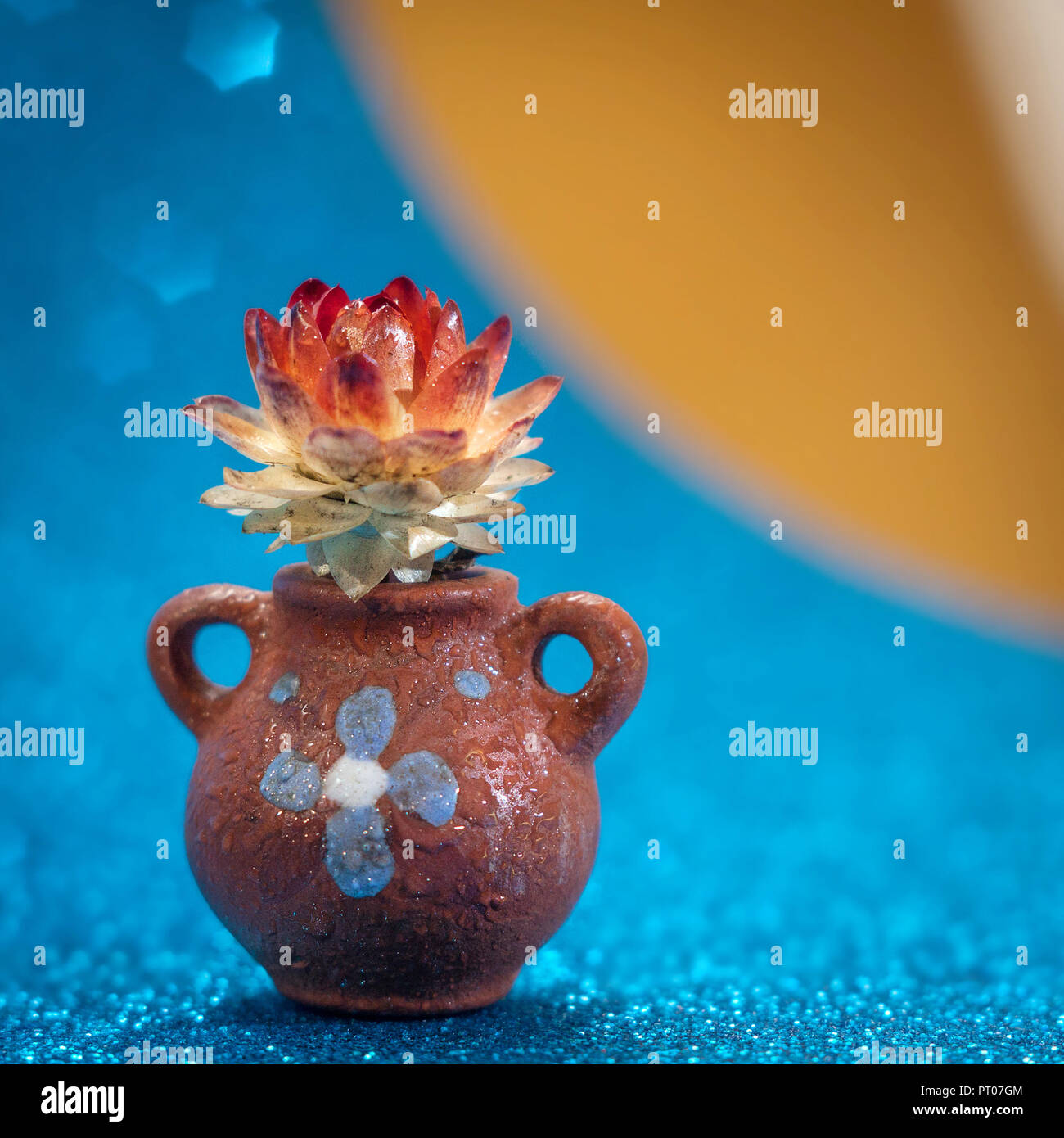 Flor en una pequeña vasija de cerámica sobre un fondo azul. Foto de stock