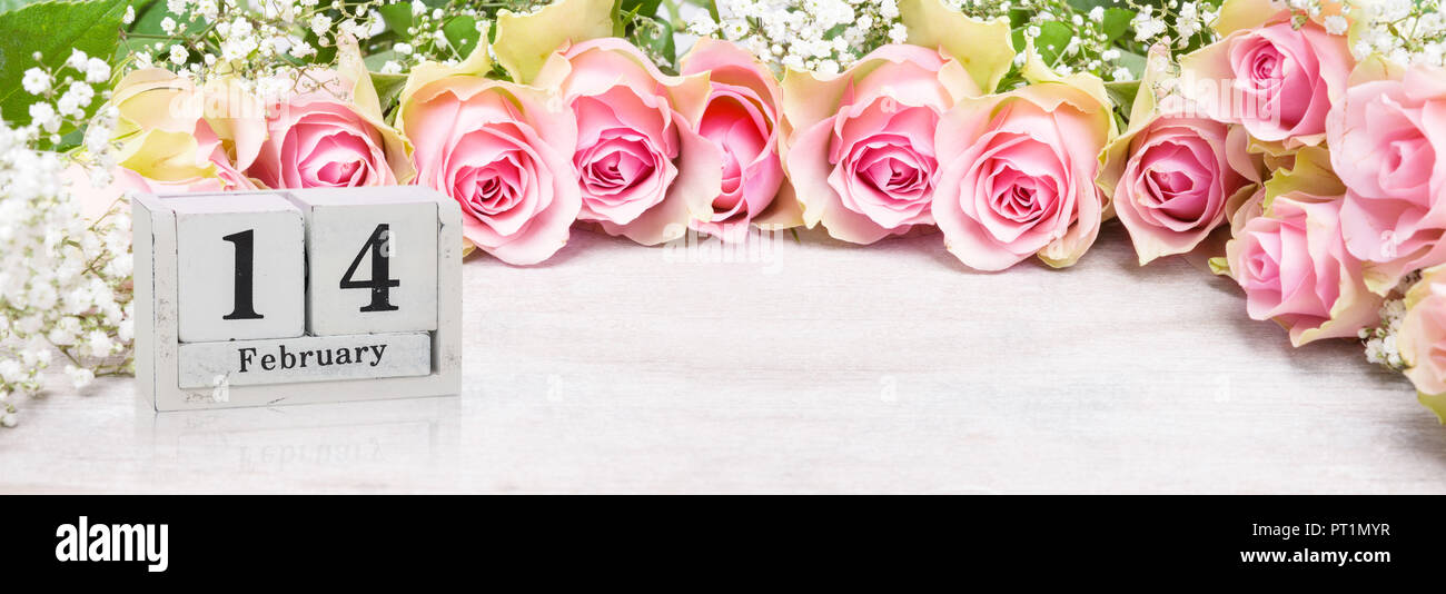 14 de febrero, rosas rosas y gypsophila para el Día de San Valentín Foto de stock