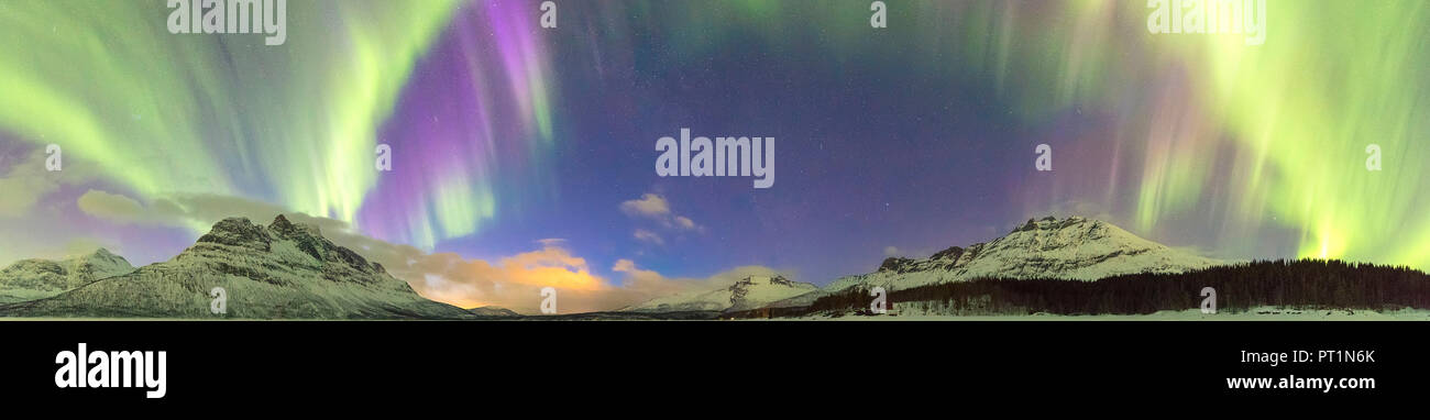 Panorámica de Northern lights, Skoddebergvatnet, Grovfjord, condado de Troms, Islas Lofoten, Noruega Foto de stock