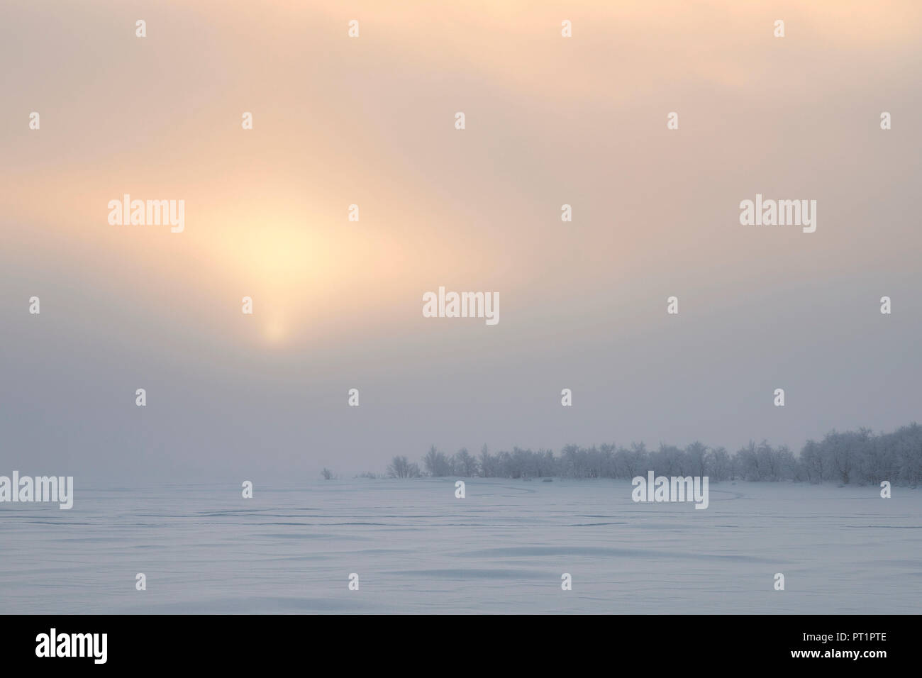 Crepúsculo y la niebla sobre el paisaje nevado, Muonio, Laponia, Finlandia, Europa Foto de stock